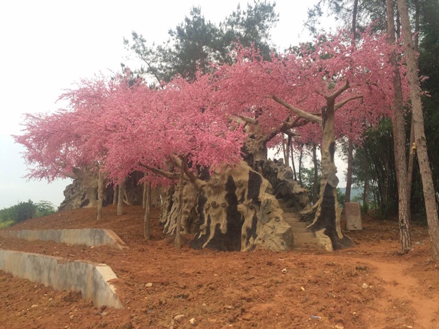 成都市龍泉山枯木逢春（塑石小品）