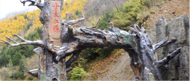 雅安市青衣江源森林公園大門（塑石小品）