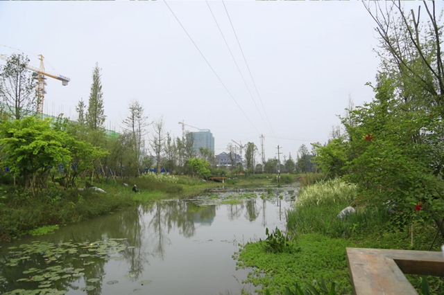 在進(jìn)行城市公園景觀設(shè)計(jì)時(shí)應(yīng)該注意什么問(wèn)題？