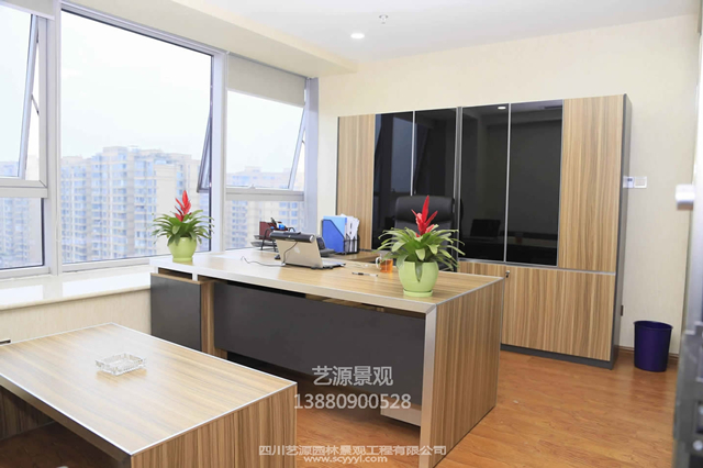 四川塑石假山廠家辦公室風(fēng)采展示