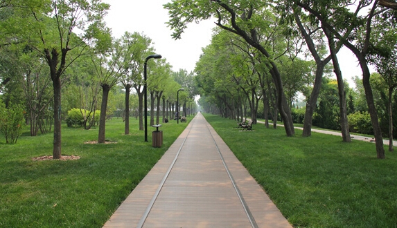 淺析開放性市政公園的內容及特點